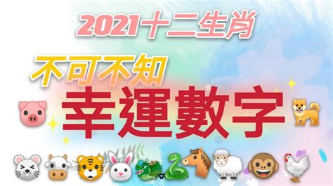 屬豬幸運數字|快收藏！12生肖的「幸運數字」公布 